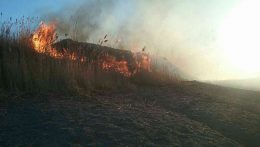 Tartózkodjunk a füves területek és a zöldhulladék felégetésétől, kérik a tűzoltók