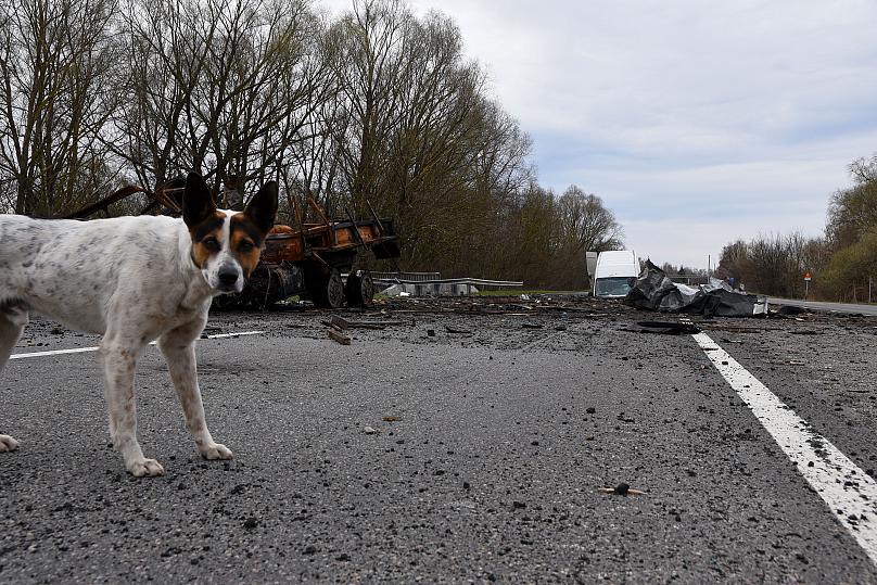 Az ukrajnai háború valósága egy kamera objektívén át