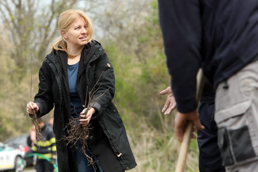 Čaputová szerint a zöld beruházások jelentik Szlovákia fejlődésének garanciáját