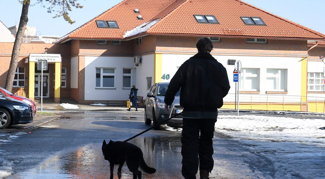 Modern eszközöket kap a kassai egyetemi állatkórház