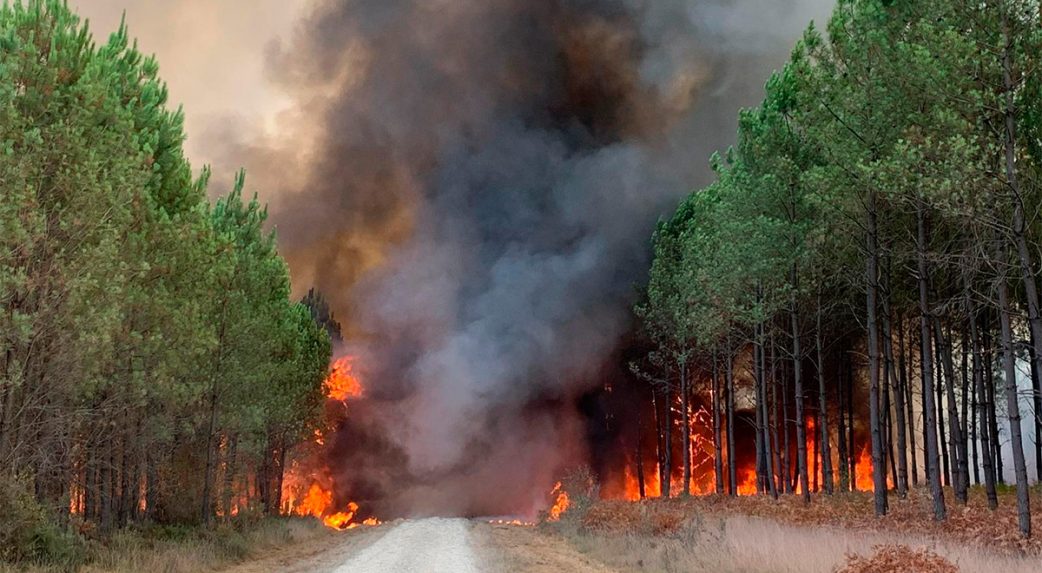 Gran Canaria szigetén próbálják megakadályozni a tűz tovább terjedését