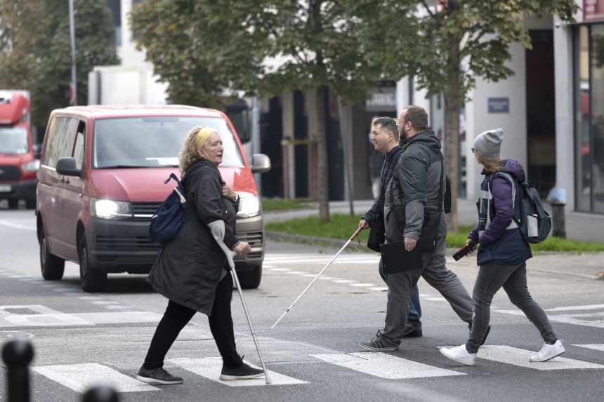 Fehér Bot Napja alkalmából tesztelték a sofőröket pénteken