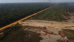 Őslakosok lakhelyén hirdet közegészségügyi vészhelyzetet a brazil kormány