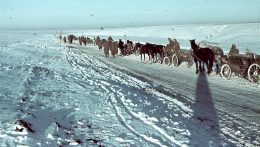 80 éve történt a tragikus doni katasztrófa