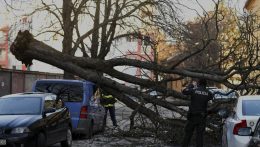 Fákat döntött ki az erős szél Kassa megyében, sok riasztást kaptak a tűzoltók