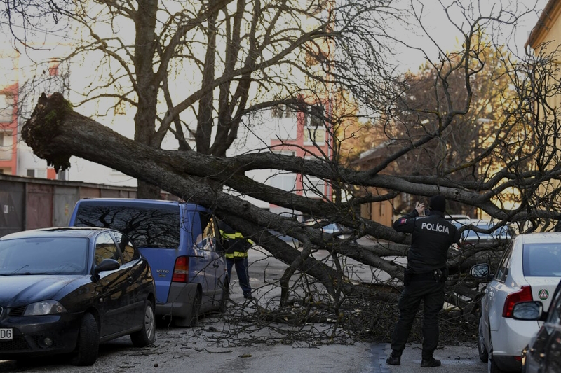 Fákat döntött ki az erős szél Kassa megyében, sok riasztást kaptak a tűzoltók