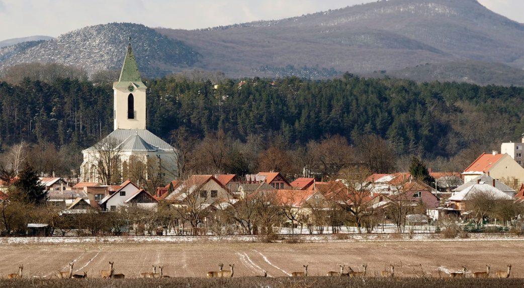 Rendkívüli állapotot hirdettek ki Szepsiben a sárgaság miatt