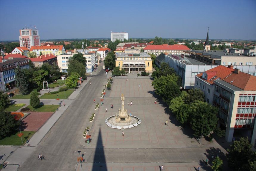 Veszélyben Érsekújvár ikonikus fenyőfája