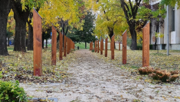 Megújul a Petőfi-szobor melletti park Komáromban