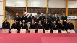 A Nihon Kempo Jitsu mestere