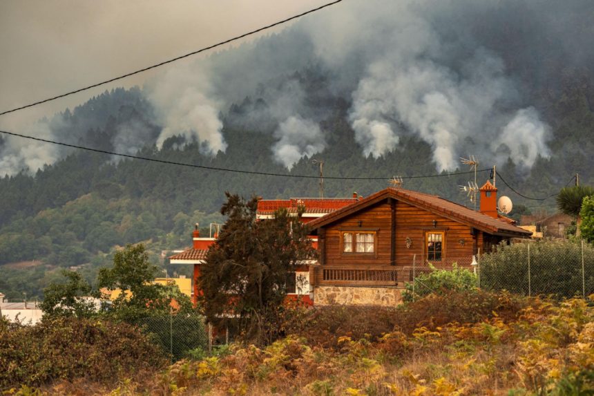 Ezreket evakuáltak Tenerifén a tomboló erdőtűz miatt