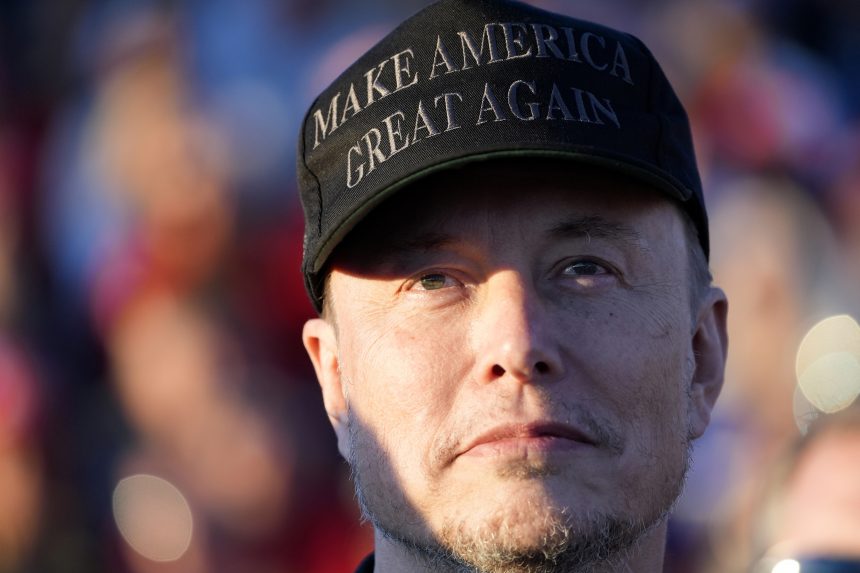 Musk beszáll a német választási kampányba, megmentőnek nevezte az AfD-t