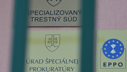 Az ügyész a neonáci csoport tevékenységével vádolt személyek őrizetbe vételét javasolja