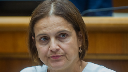 Az SaS Kolíkovát jelöli az SIS-t ellenőrző bizottság élére