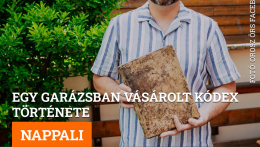 Egy garázsban vásárolt kódex története