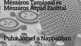 Mészárosok görbetükre