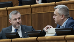 Az államfőtől vár lépéseket a sürgősségi ellátásra kiírt pályázat kapcsán az SNS
