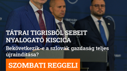 Tátrai tigrisből sebeit nyalogató kiscica