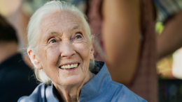 Meghalt Jane Goodall