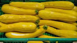 Gasztrorovat Luigivel – Cukkini