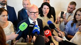 Önkéntes közrendvédelmi egységek létrehozását javasolja az SaS