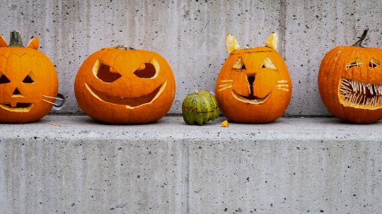 Gasztrorovat Luigival – Tök