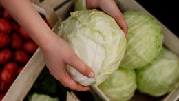 Gasztrorovat Luigival – Káposzta