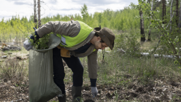 Bírálják az önkormányzatok a községi közmunka büntetésként való alkalmazását