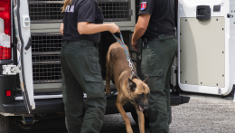 Több mint 600 ezer euró értékben vásárol a belügyminisztérium kenneleket a rendőrkutyáknak