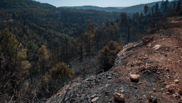 Áradások és földcsuszamlások sújtják Görögország északnyugati részét