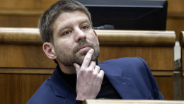 A PS szerint alkotmányellenes ostobaság az új bűncselekmény beemelése a Btk.-ba