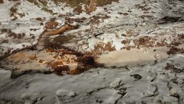 Fekete lúg szivárog egy kelet-szlovákiai zagytározóból