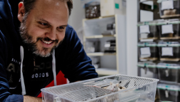 Magyar áttörés a rákkutatásban?