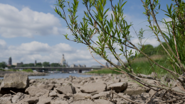 Gyorsul a globális felmelegedés üteme, Európa azonban még a világ más részeinél is nehezebb helyzetben van