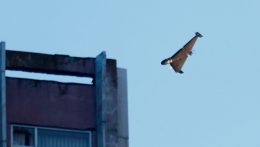 Orosz drón csapódott egy észt erőmű kéményébe