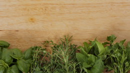 Gasztrorovat Luigival – Fűszernövények a balkonon és a természetben