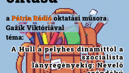A Hull a pelyhes dinamittól a szocialista lányregényekig