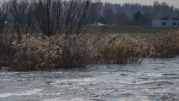 Megkezdődött a tavaszi mesterséges árhullám a Duna mellékágain