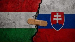 „A szlovákiai magyar politikum egy felnövő gyerek, akinek újra és újra rá kell jönnie, hogy becsapják“