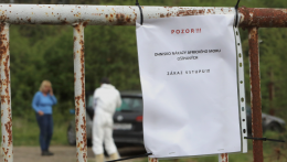 Rendkívüli helyzetet hirdettek a garamszentkereszti járásban a sertéspestis miatt