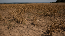 Szuper El Niño: mit hoz a Csendes-óceán melegedése a szlovák időjárásnak?