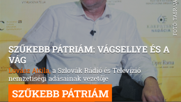 Szűkebb pátriám: Vágsellye és a Vág