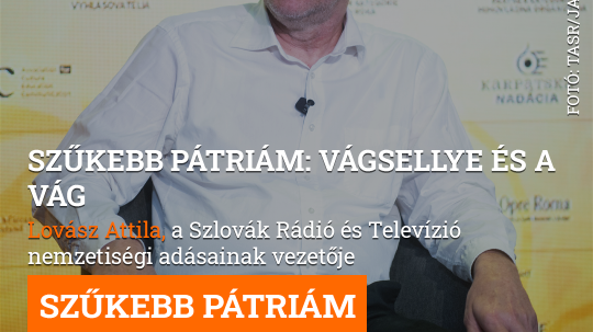 Szűkebb pátriám: Vágsellye és a Vág