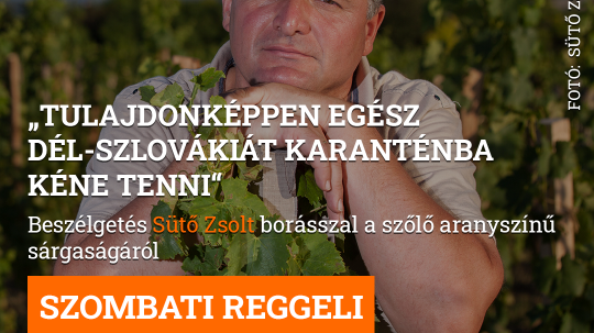 „Tulajdonképpen egész Dél-Szlovákiát karanténba kéne tenni“