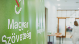 Lesz még önálló magyar parlamenti képviselet?