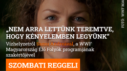 „Nem arra lettünk teremtve, hogy kényelemben legyünk“
