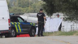 Kisrepülőgép zuhant le Ocsovánál — három ember életét vesztette, köztük egy négyéves gyermek
