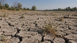 A Csallóköz kiszáradása nem egy konkrét régióra korlátozódó probléma, az egész ország ellenállóképességét gyengíti