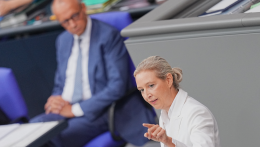 A német kormánypártok kétségbeesetten keresik a csodaszert az AfD megfékezésére