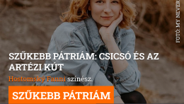 Szűkebb pátriám: Csicsó és az artézi kút